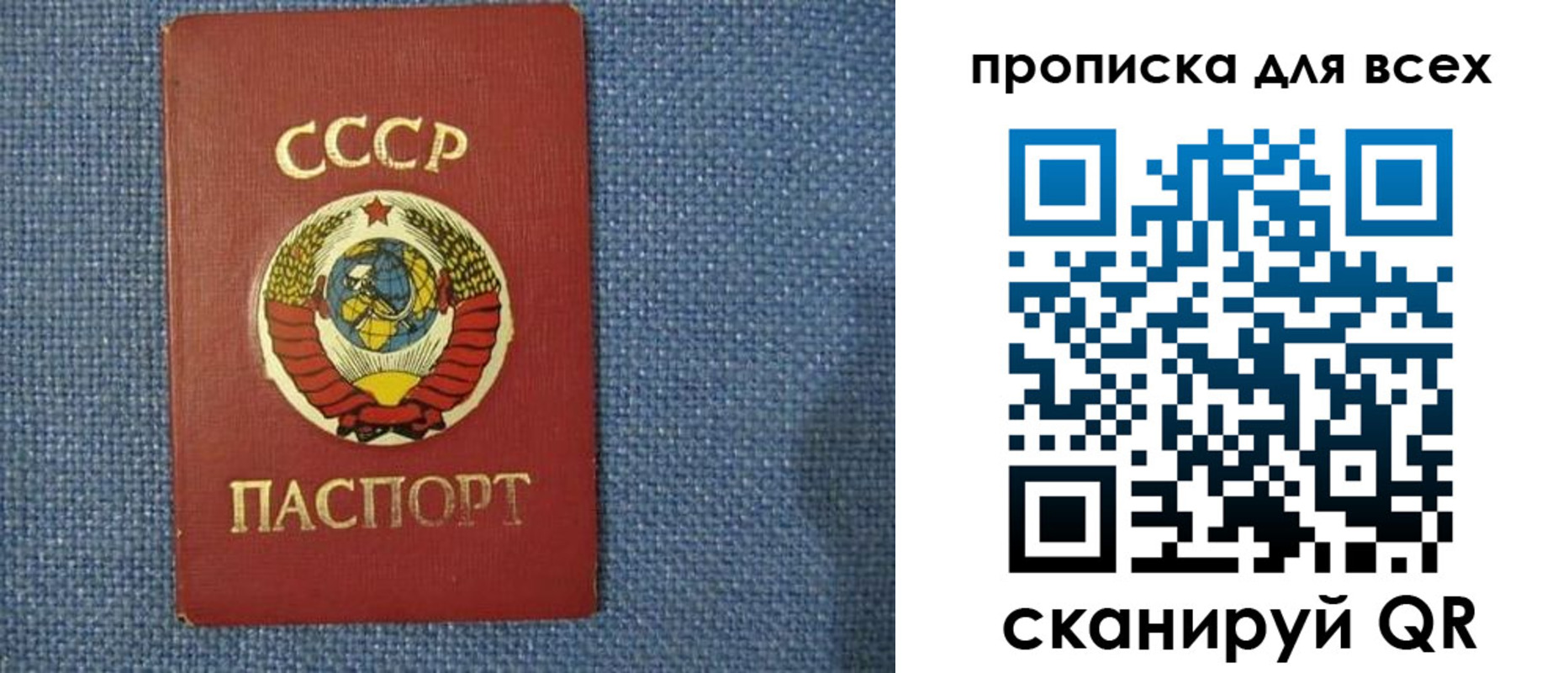 прописка в квартире в Мурино